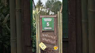Mandrill mayhem 5 minutes