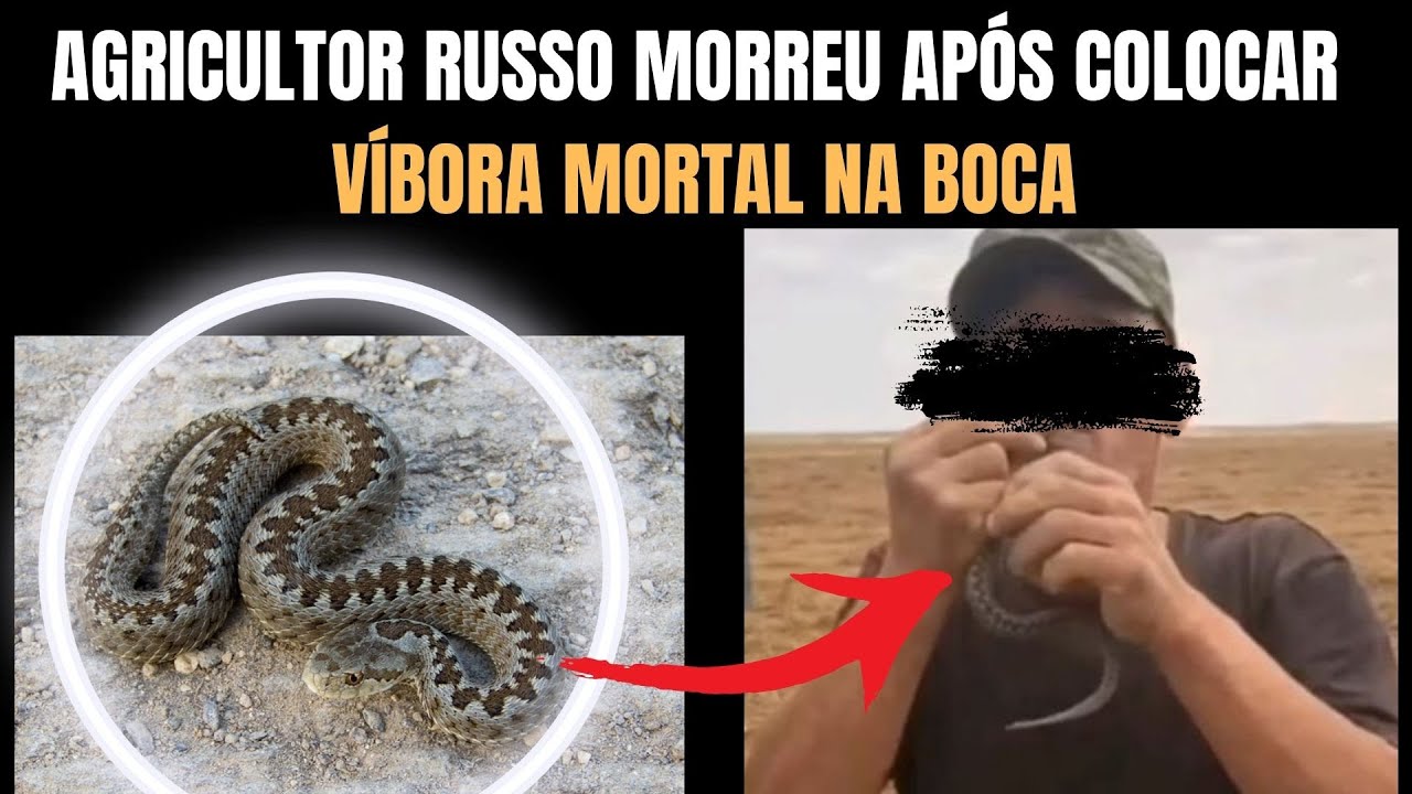 HOMEM RUSSO MORREU APÓS COLOCAR COBRA NA BOCA | Biólogo Henrique