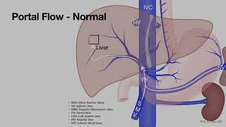 2025 ASGE Endoscopy Tech Course - A - Esophagus