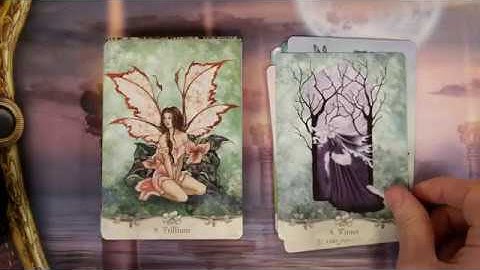 Fairy Wisdom Oracle - 4k flip through