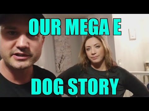 How to take care of a dog with MegaEsophagus - DIY Bailey Chair - Our Story