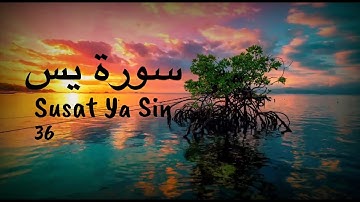 Surat Ya Sin | سورة يس كما لم تسمع من قبل ماشاء الله