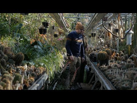 Video: De Wedergeboorte Van De Rozentuin In De Grote Botanische Tuin