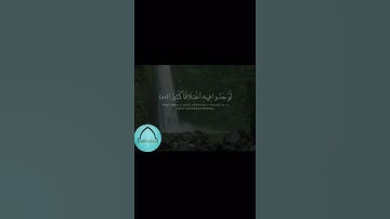 تلاوة خاشعة للقارئ ماجد الحازمي