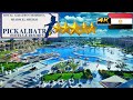 4K ROYAL ALBATROS MODERNA SHARM EL SHEIKH 2023 HOTEL GOOD BEACH RESORT EGYPT
