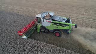 class lexion 770 wheat harvest 2019