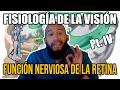 Fisiología de la VISIÓN Pt. IV - Función NERVIOSA de RETINA (Células bipolares, Ganglionares ON/OFF)