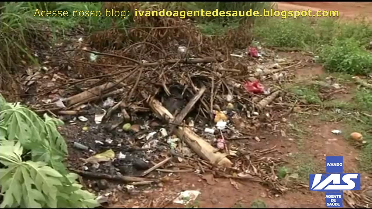 Armadilhas espalhadas por quatro cidades em Tocantins testam resistência do mosquito - YouTube