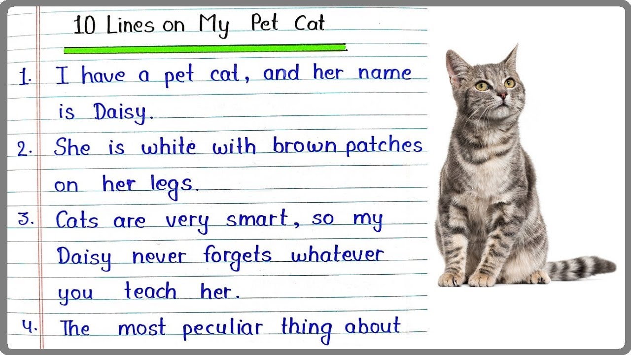 10 Lines Essay on My Pet Cat in English | My Pet Cat 10 Points | Few Lines  & Sentences on My Pet Cat - YouTube