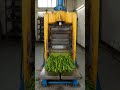 Green chili vs Hydraulic Press 🔥🔥🔥😱 #youtubeshorts #viral #shorts #viralvideo