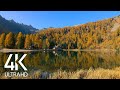 8 HOURS Tranquil Birdsong on Calm Fall Lake - Nature Soundscapes 4K Video