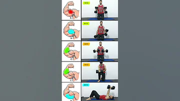 Arms Exercises تمارين الذراع 