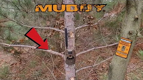 Setting Up New Muddy Matrix Cellular Camera
