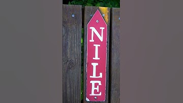 Ziplining over Crocodiles!  #alligatorfarm #staugustine