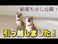 【新居公開】引越しました☆引っ越し当日の様子です！