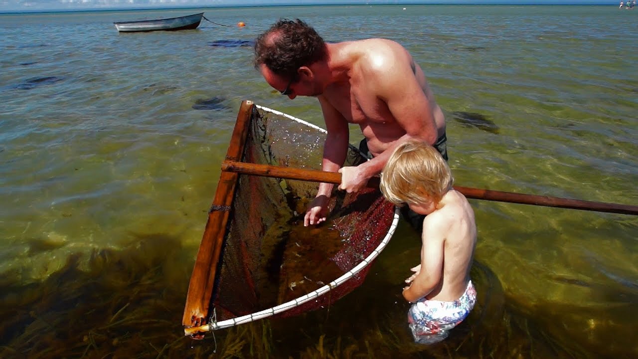 Fjellerup Strand/ Sommer 2016/ Djursland