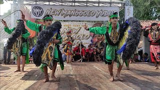 Download Lagu Jaranan NEW MANGGOLO YUDHO Rampokan Celeng❗Live Wedoro Sukorame Lamongan MP3 Download Lagu Jaranan NEW MANGGOLO YUDHO Rampokan Celeng❗Live Wedoro Sukorame Lamongan MP3