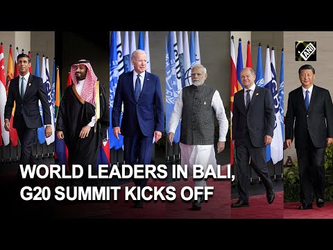 World leaders have arrived in Bali, G20 Summit kicks off