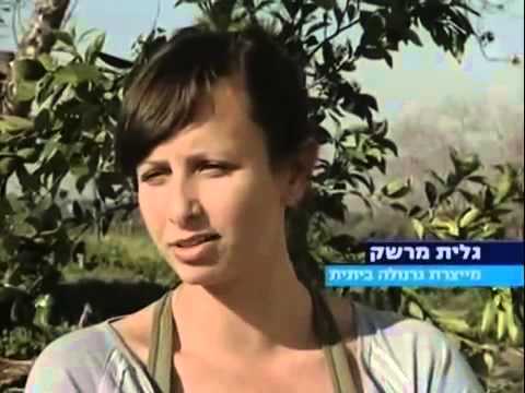 דני וגלית - גרנולה ועוגיות בעבודת יד