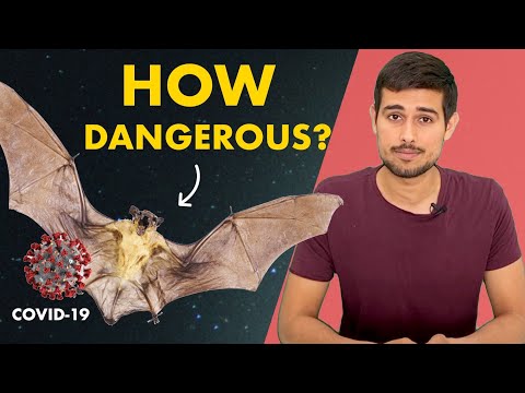 Coronavirus Source: Truth about Bats |  Dhruv Rathee