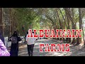 AL BUAINAIN  FARM IN JUBAIL (PART2)