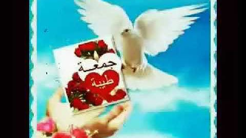 جمعه مباركه لاتنسوا قراءة سورة الكهف 🌼🌼