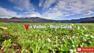 Via Vallen - Bojo Galak ( Video Lirik Terjemahan Indonesia ) Cover