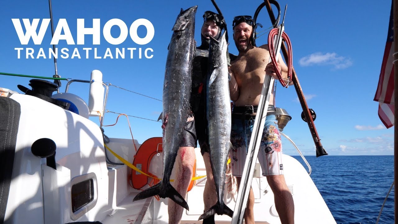 WAHOO Spearfishing While Sailing Across the Atlantic EP 24