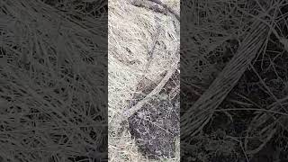 Неплохая находка-30 килограмм алюминия #metaldetecting #коп