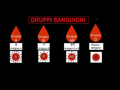 Video: Differenza Tra Agglutinogeni E Agglutinine