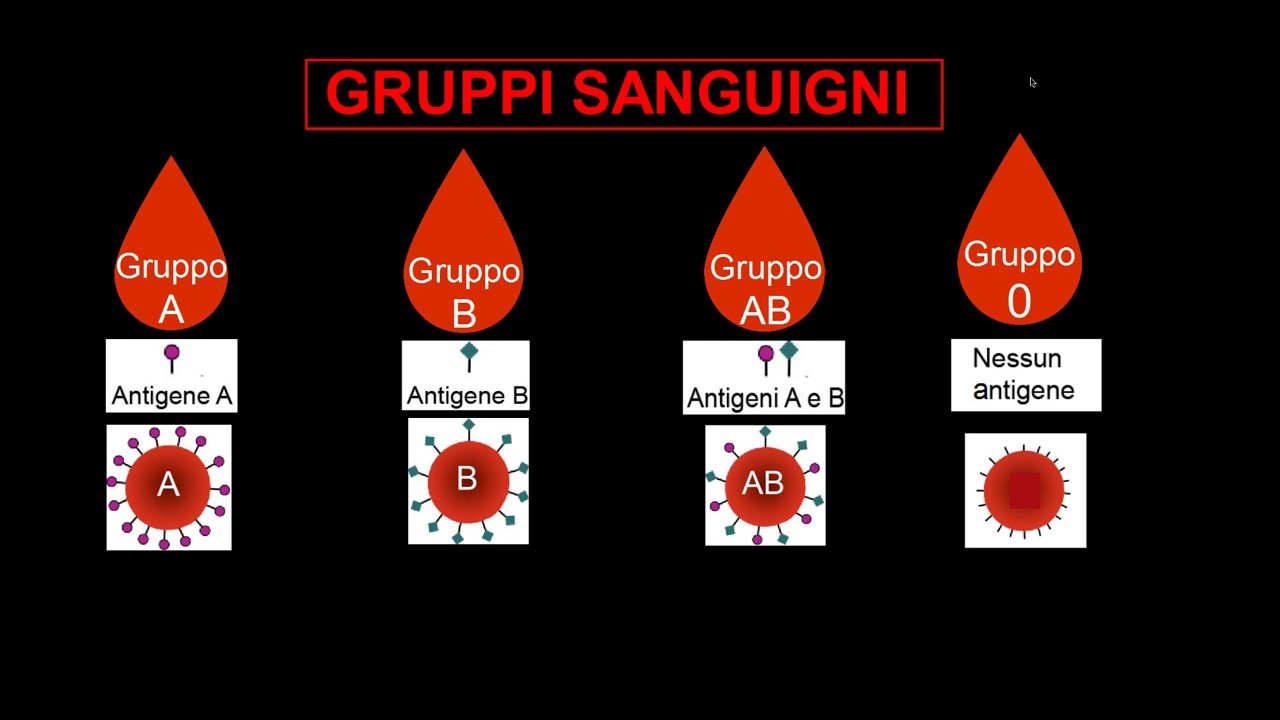 I gruppi sanguigni YouTube I gruppi sanguigni YouTube