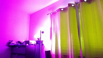 Using Alexa with Hue and Harmony remote.