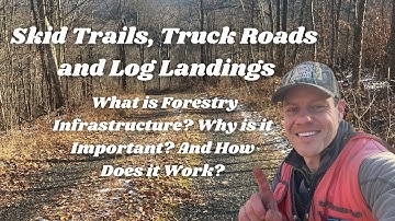 Skid Trails, Truck Roads and Log Landings: What is Forestry Infrastructure? And How Does it Work?