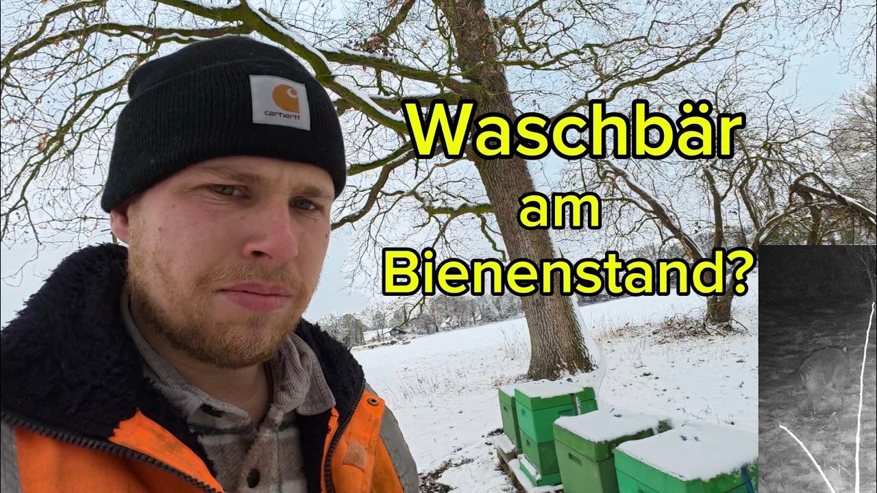 Imker - Vlog #11 Winterkontrolle