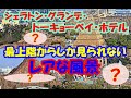東京ディズニーリゾート【レアな風景】シェラトン・グランデ・トーキョーベイ・ホテル 最上階からしか見えないレアな風景