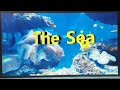 Who created the seawhats in the seawith relaxing piano christian music