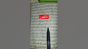 معنى كلمة ( تَفَكَّهُون ).  الواقعة الآية 65.