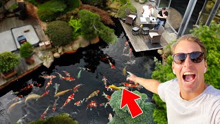 If you want to build a authentic Japanese garden, you should try this!
