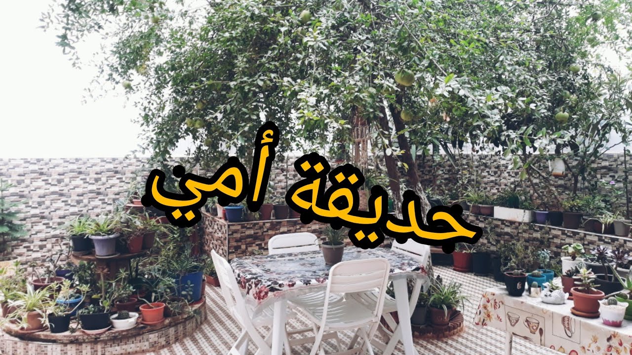 ارواحو معايا نضربو طلة في حوش أمي العزيزة عاشقة النباتات و الورود 🌱🌷🌵🌼🌾🍀