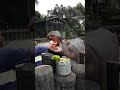 Hipopótamo Ramon se alimentando no Horto de São Vicente