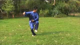 Chen Tai Chi 74 Form Part Two