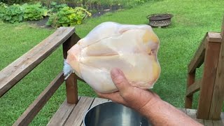 The KEY to tender backyard chicken!