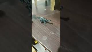 MR Dino farts