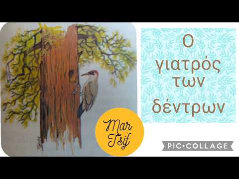 Ο γιατρός των