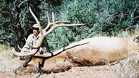 Huge Bull Elk Hunt in Utah - MossBack