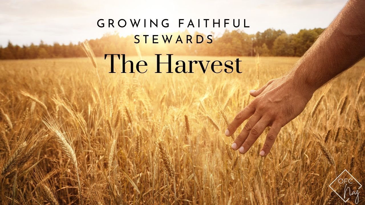 The Harvest 3 Growing Faithful Stewards YouTube