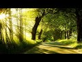 Beautiful relaxing music best soothing music yoga music calm music  num nila