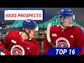 Top 16 montreal canadiens prospects