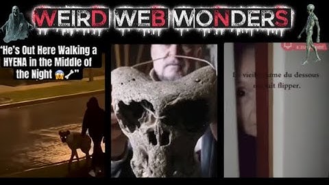 weird web wonders vol 29