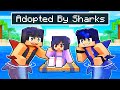Adopted by shark boys in minecraft